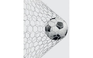 Proposal to Increase Naturalized Players in National Team