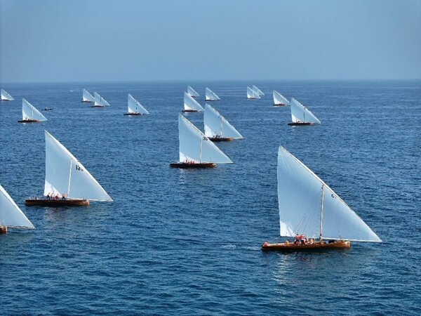 Maritime Festival Committee Announces Dhow Race Date